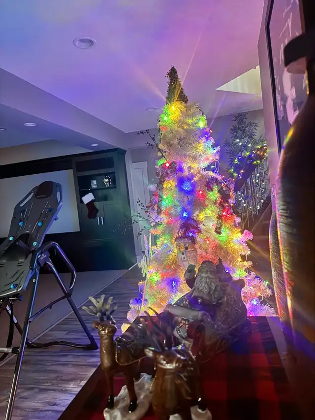 Christmas decor  in Home Décor & Accents in St. Albert - Image 2