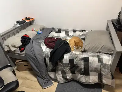 Lit Simple, View more