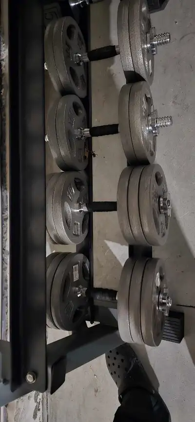 weight plates, bench, curl bars, dumbells, View more