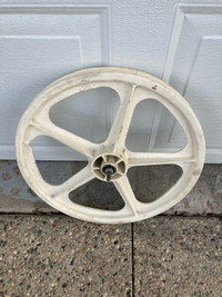 White Skyway front 20” mag 