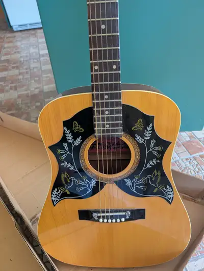 Acoustic guitar - La Costa, View more