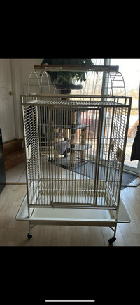 Cage à perroquet 
