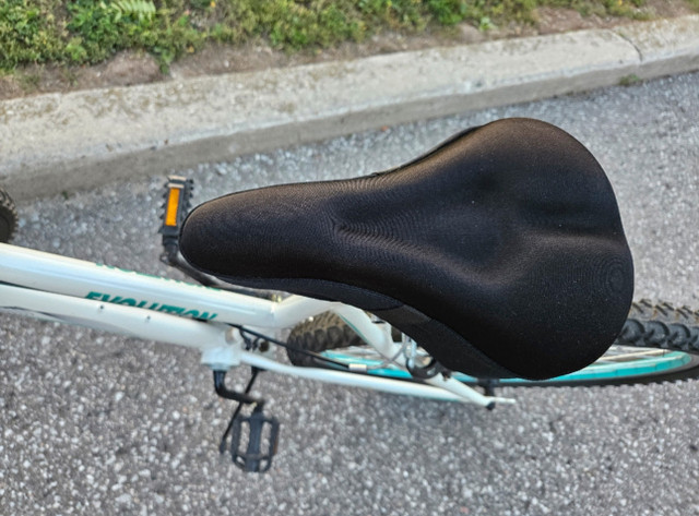 Bike in perfect condition in Other in City of Toronto - Image 4