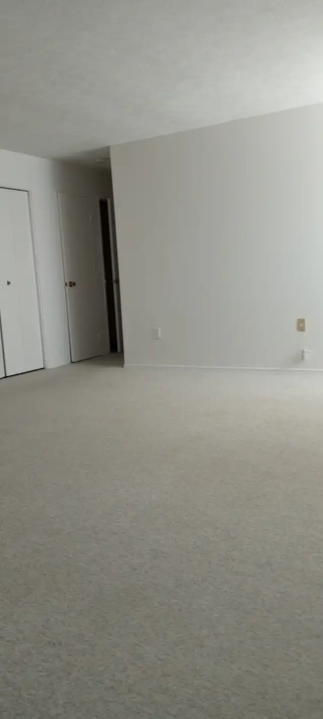 Spacious 1 Bedroom Apartment, Oct 1, South End