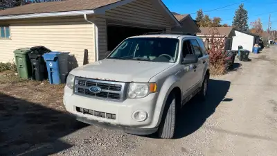 2009 Ford Escape 4WD V6 321k and will rise as it’s my daily Runs and drives well Oil just changed Lo...