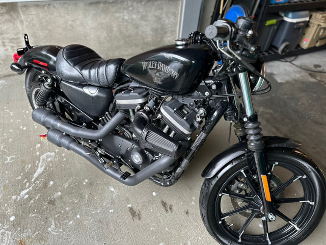 2016 Harley-Davidson Sportster Iron 883 in Street, Cruisers & Choppers in North Shore - Image 4