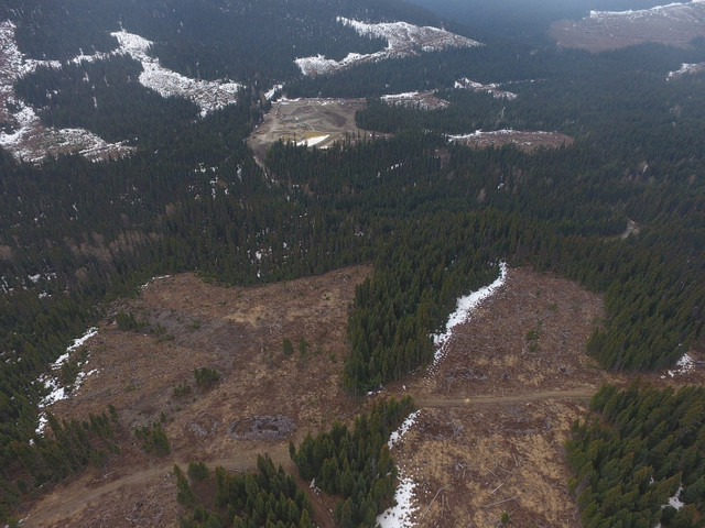 Willow River Gold Claim in Land for Sale in Quesnel - Image 2