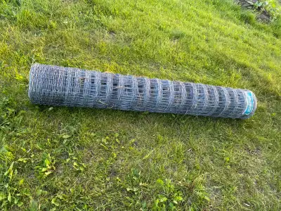 Two rolls of 6’ garden fence