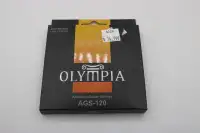 OLYMPIA AGS-120 12-STRING ACOUSTIC GUITAR STRINGS  (#4328)