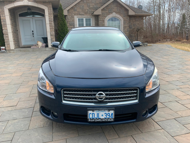 Certified 2013 Nissan Maxima in Cars & Trucks in Sudbury