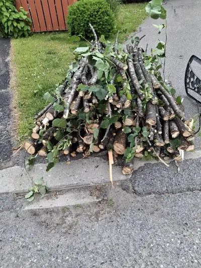 firewood in 29 Astoria Crescent , View more