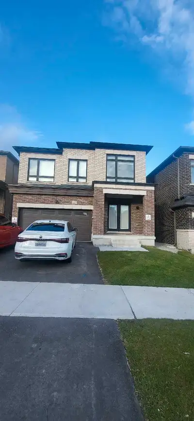 BRAND NEW BASEMENT FOR LEASE