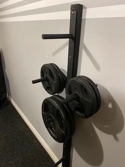 Weight plate wall mounted storage rack 100$ - OBO, View more