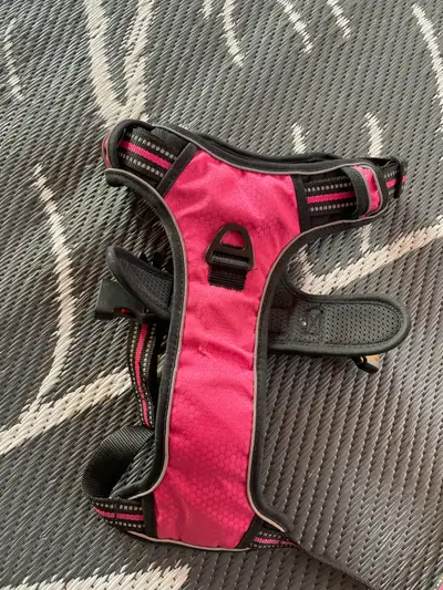 harnais pour chien, View more