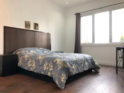 Eglinton/Midland 大套间出租，独立四件套大洗手间， 走入式衣帽间，交通方便，步行几分钟kennedy地铁站