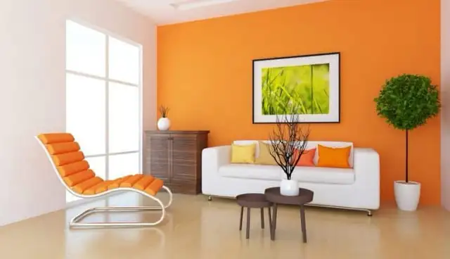 Interior and Exterior Building Painter526209076524503042