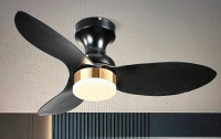 Ceiling Fan with light