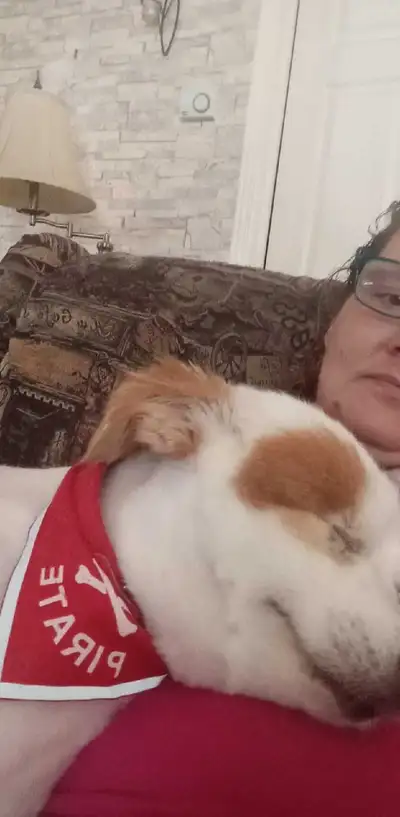 Bonjour! Recherche 3.5 ou 2.5 dans rosemont, près de l'hôpital maisonneuve rosemont, parce que j'ai...