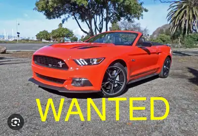 Looking to buy a sport/muscle summer car, I’m not a dealer, I’m a private buyer….. interested in any...
