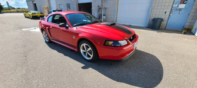 2004 Mustang Mach 1 with 8200 clicks in Cars & Trucks in City of Toronto - Image 3
