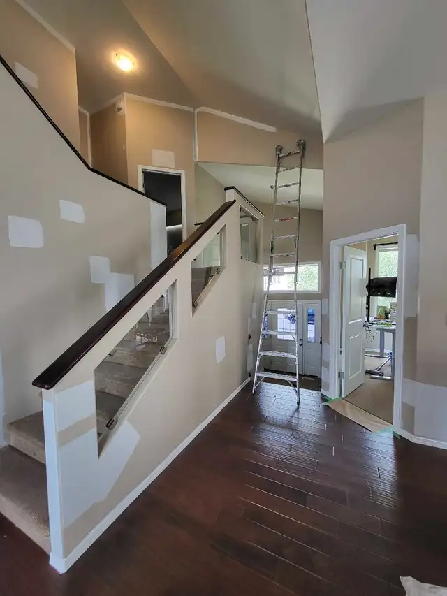 Pro Painter63235315470467122