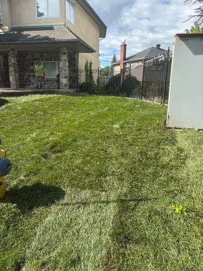 Lawn Care Worker, View more