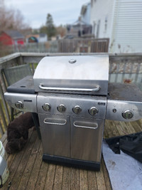 Stainless steal bbq