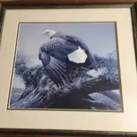 Robert Bateman American eagle print