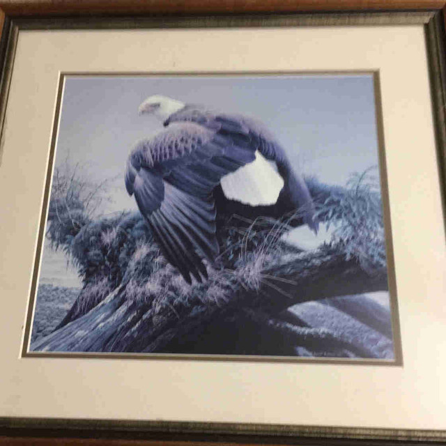Robert Bateman American eagle print in Arts & Collectibles in Ottawa