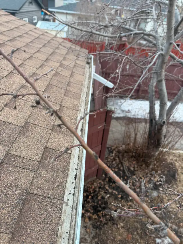 Gutter Cleaning62864741302787123
