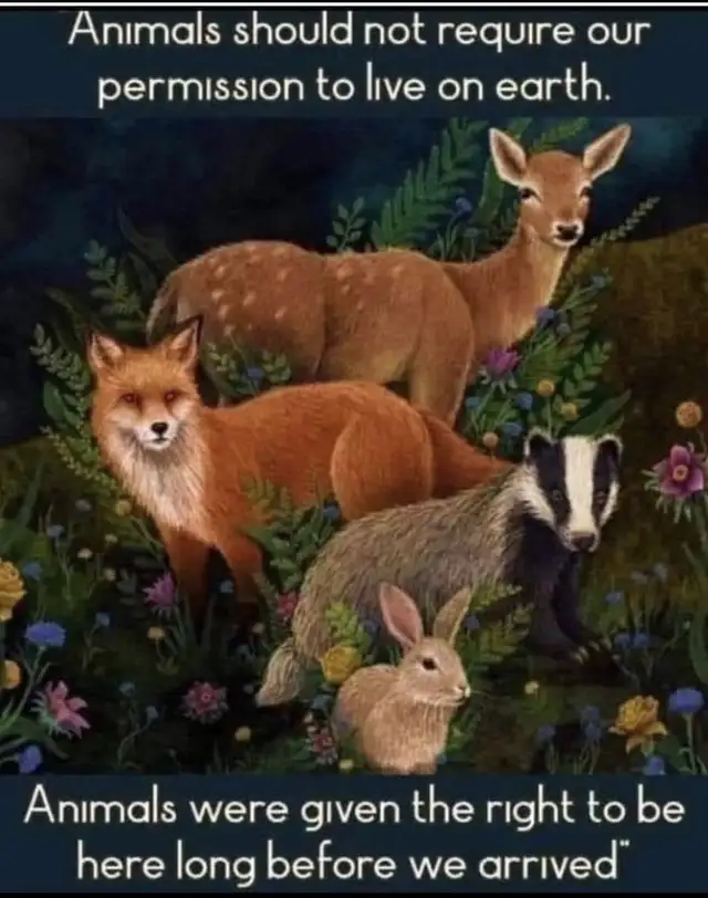 Making a Great Friendship(Read Entire Ad before Responding))!!! 64418619827459121