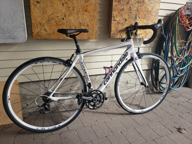 Cannondale Synapse Carbon fibre road bike 51 cm frame. in Road in Vernon - Image 4