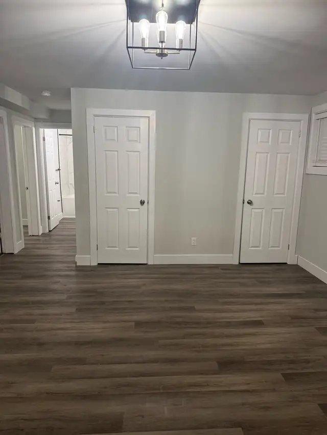 1BR Fully Renovated apartment in tri-plex (Lower Unit)