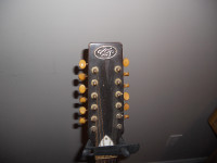 Acoustic 12 string guitar