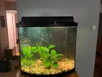 Aquarium 26 gallons 