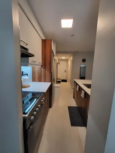 Appartement 1 chambre au coeur du centre-ville disponible entre le 1er juillet et le 31 mars. Super...