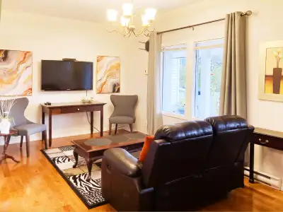One Bedroom Fully Furnished Apartment