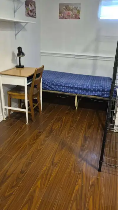 Renting out a private basement room that's all set up for you! As you can see from the pictures, it...
