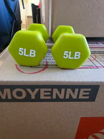 5LB Dumbbells, View more