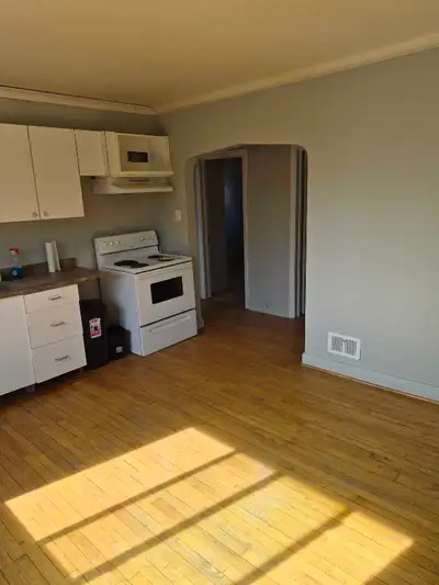 Cozy and bright 2 bedroom apartment is available for rent immediatly for one year lease. This apartm...