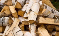 Bois de chauffage bouleau blanc/white birch firewood 