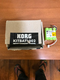 Batteries pour Korg Pa3x