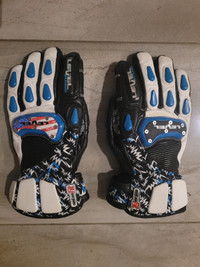 Ski Racing Gloves