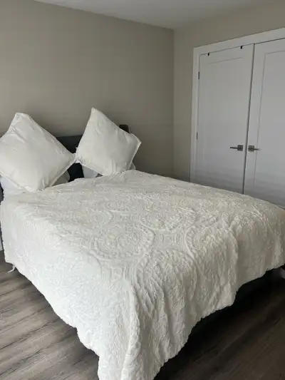 room available for rent near Brock