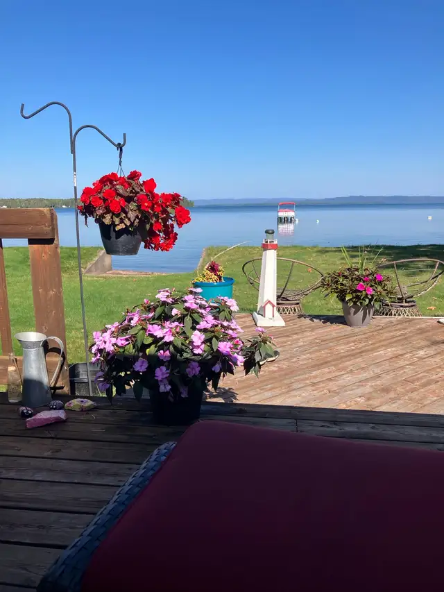 cottage available in Ontario in Canada - Image 2