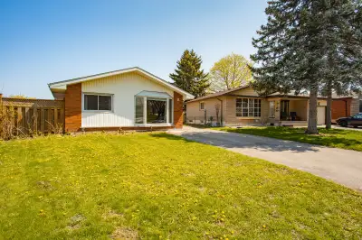 Beautiful Furnished bachelor For Rent