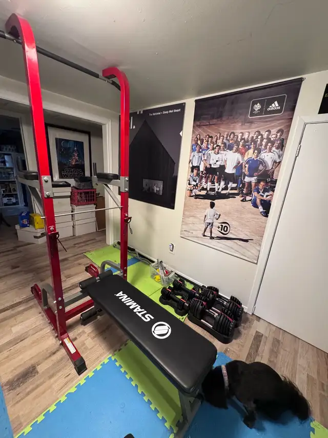 Power Tower with Foldable Padded Bench, Push Up Station, and Bar in Exercise Equipment in Ottawa - Image 10