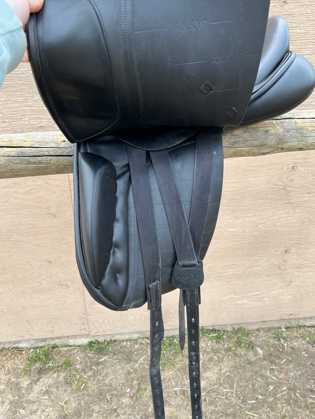 Anky dressage saddle  in Other in Brandon - Image 3
