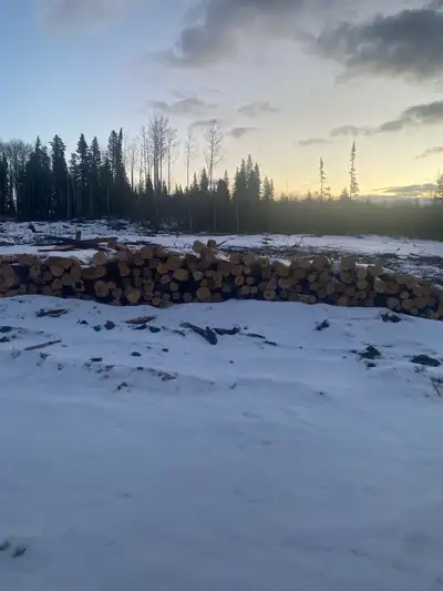 Birch Firewood , View more