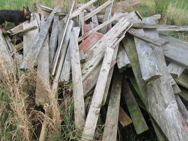 old barn boards in Outdoor Décor in Owen Sound - Image 2